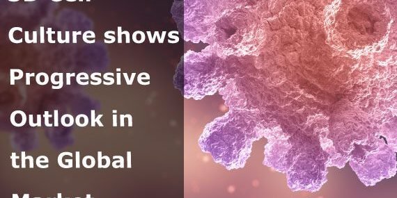 3D-Cell-Culture-in-Global-Market 3D-Cell-Culture-in-Global-Market