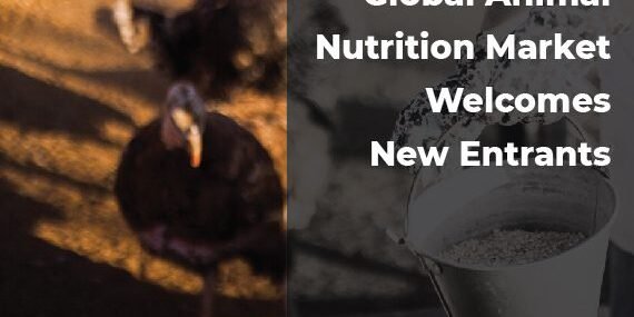 Trends-in-the-Global-Animal-Nutrition-Market Trends-in-the-Global-Animal-Nutrition-Market