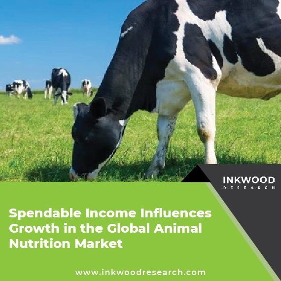spendable-income-influences-growth-in-the-global-animal-nutrition-market