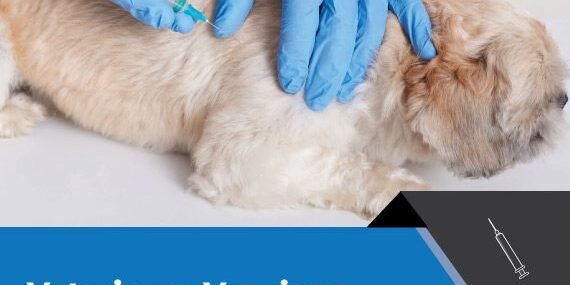 Veterinary Vaccines Market Growth Veterinary Vaccines Market Growth