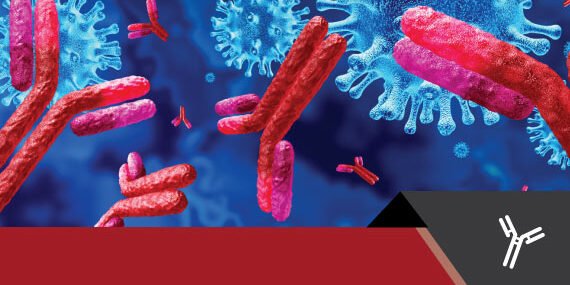Immunoglobulin Market