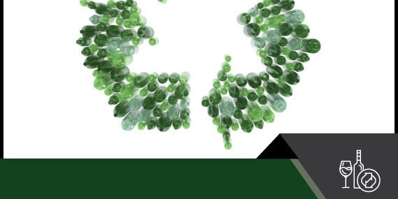 Global Recycled Glass Market Global Recycled Glass Market