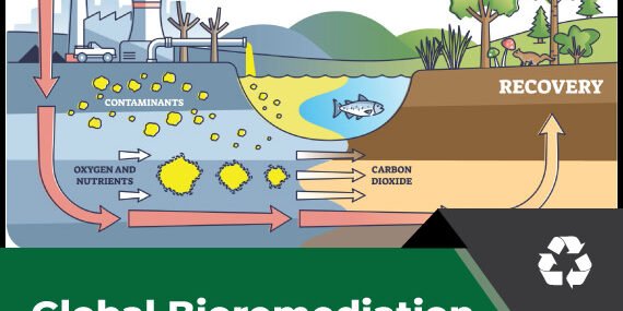 Bioremediation Technology and Services Market
