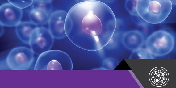 Stem Cell Market