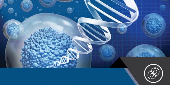 Cell Therapy Market