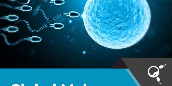 Male Infertility Market – Inkwood Research