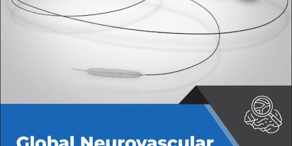 Neurovascular Devices Interventional Neurology Market