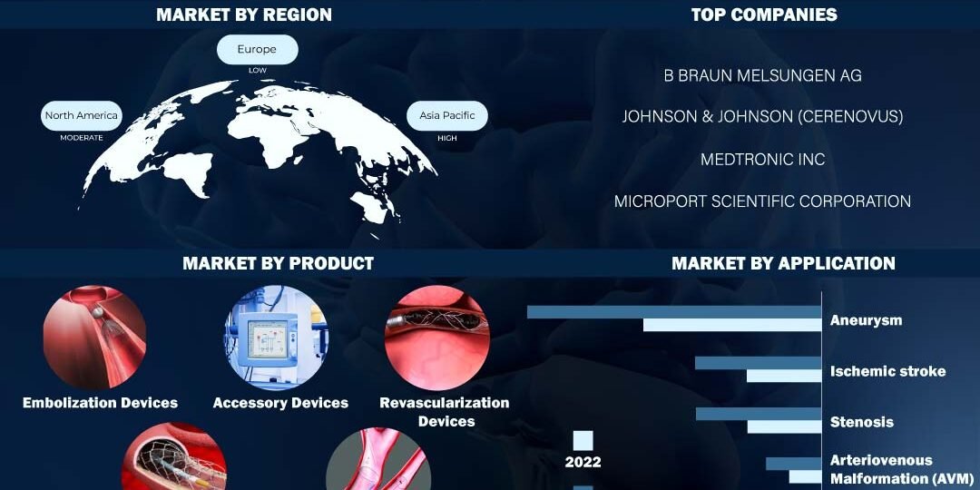 Neurovascular Devices or Interventional Neurology Market Neurovascular Devices or Interventional Neurology Market