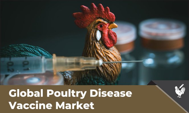 Poultry Disease Vaccine Market Growth - Inkwood Research