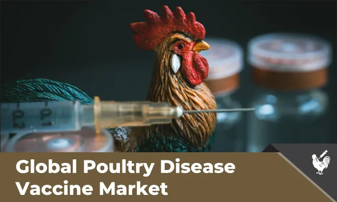 Poultry Disease Vaccine Market Growth - Inkwood Research