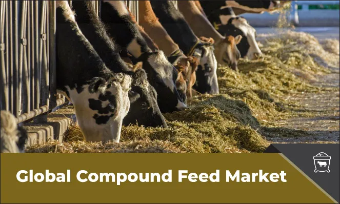 Compound Feed Market - Inkwood Research