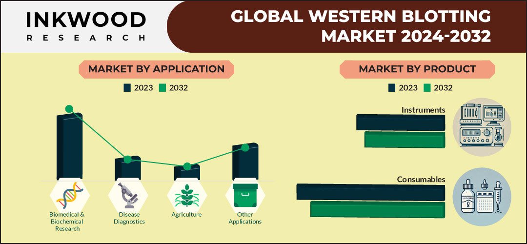 western-blotting-market-size