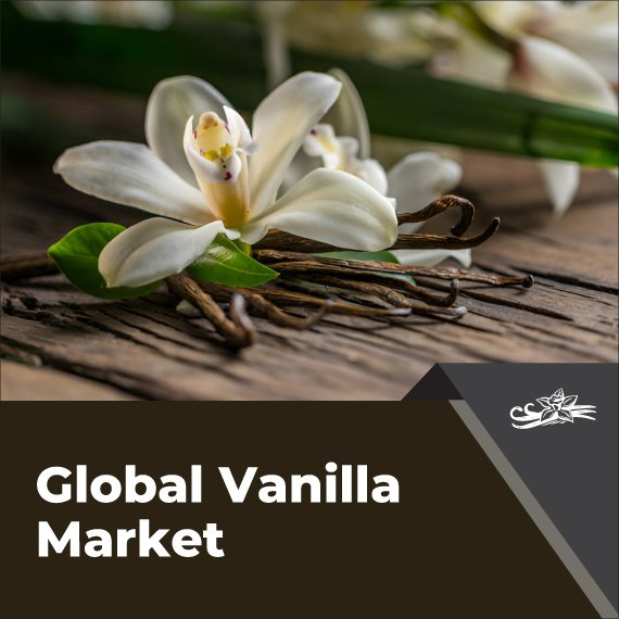 vanilla-market-inkwood-research