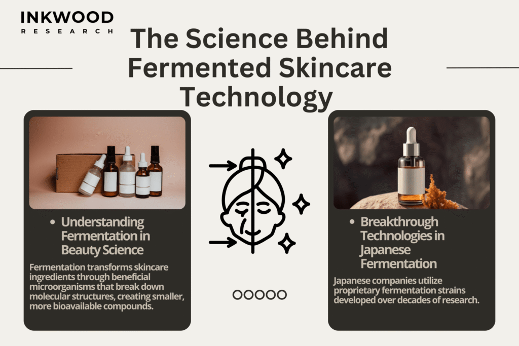 Microscopic view of fermented skincare ingredients showing enhanced molecular structure and probiotic cultures for anti-aging benefits