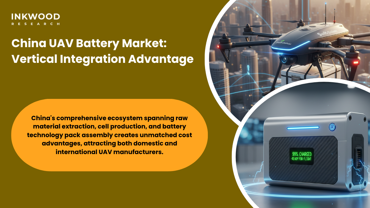 3. Vertical integration supply chain diagram showing Chinese battery manufacturing from lithium mining to finished UAV battery packs