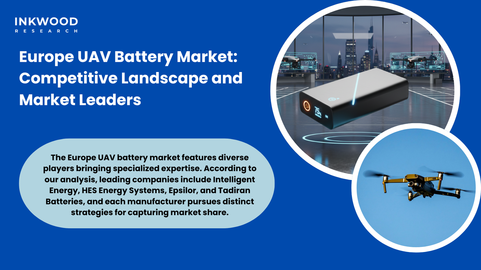 UAV battery market competitive landscape industry leaders technology innovation product development
