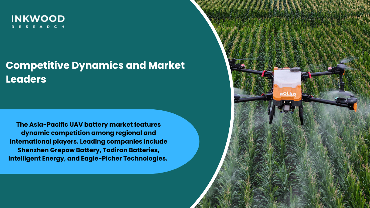 UAV battery market competitive landscape Shenzhen Grepow Tadiran Intelligent Energy industry leaders