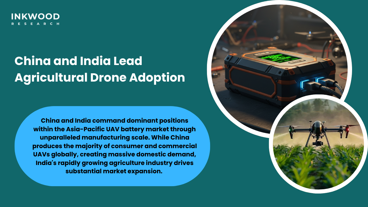 China India agricultural modernization government subsidies precision farming drone adoption regional markets