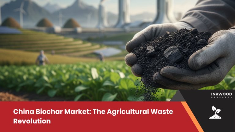 China biochar market driven by agricultural waste, biomass availability, carbon sequestration solutions, and a focus on soil fertility.