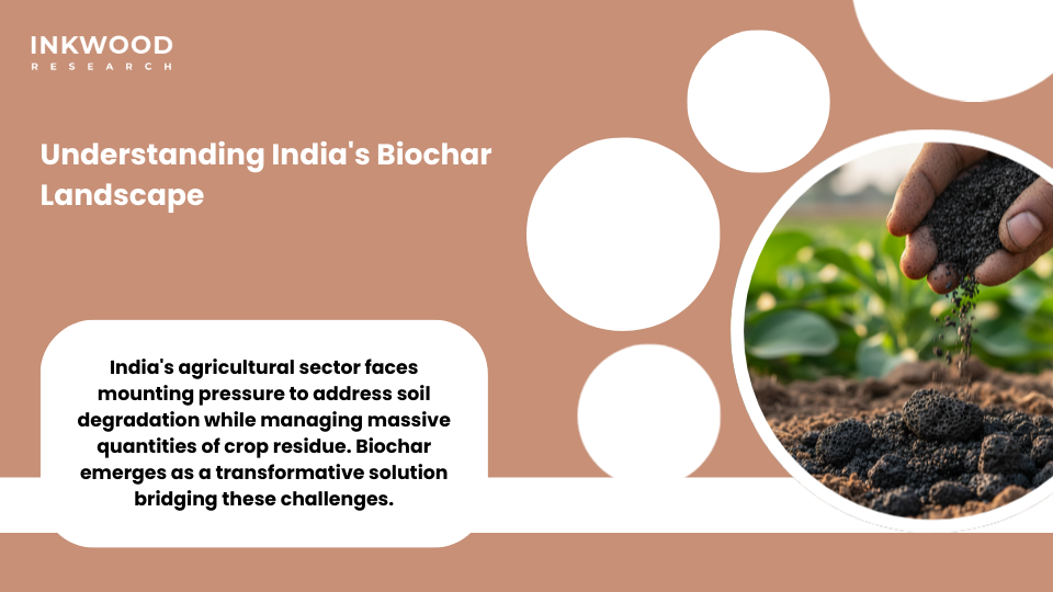 India biochar market showing state-level adoption patterns across Punjab Haryana Uttar Pradesh