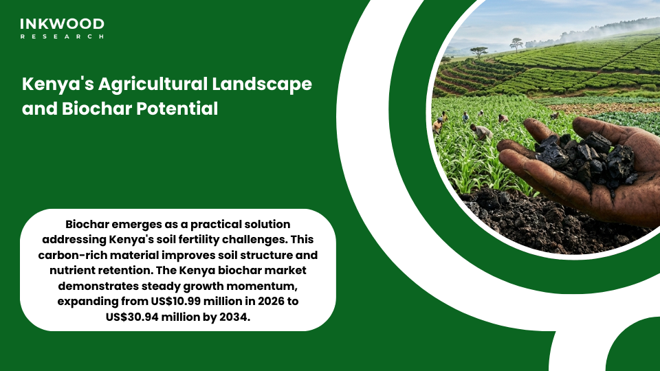 Kenya biochar market showing smallholder farmer adoption green agriculture investment opportunities