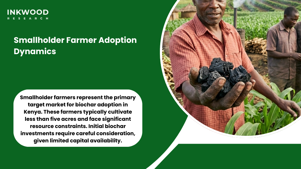 Smallholder farmer biochar adoption patterns soil fertility enhancement Kenya agriculture