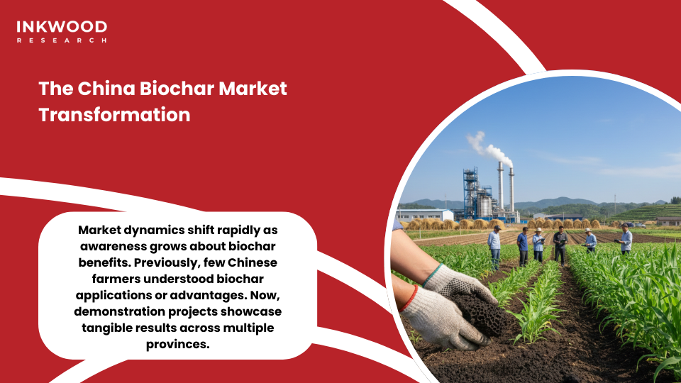 China biochar market transformation biomass availability carbon sequestration technology