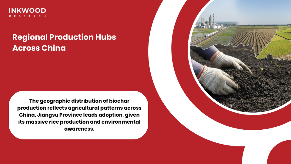Regional China biochar market production hubs capacity expansion biomass processing