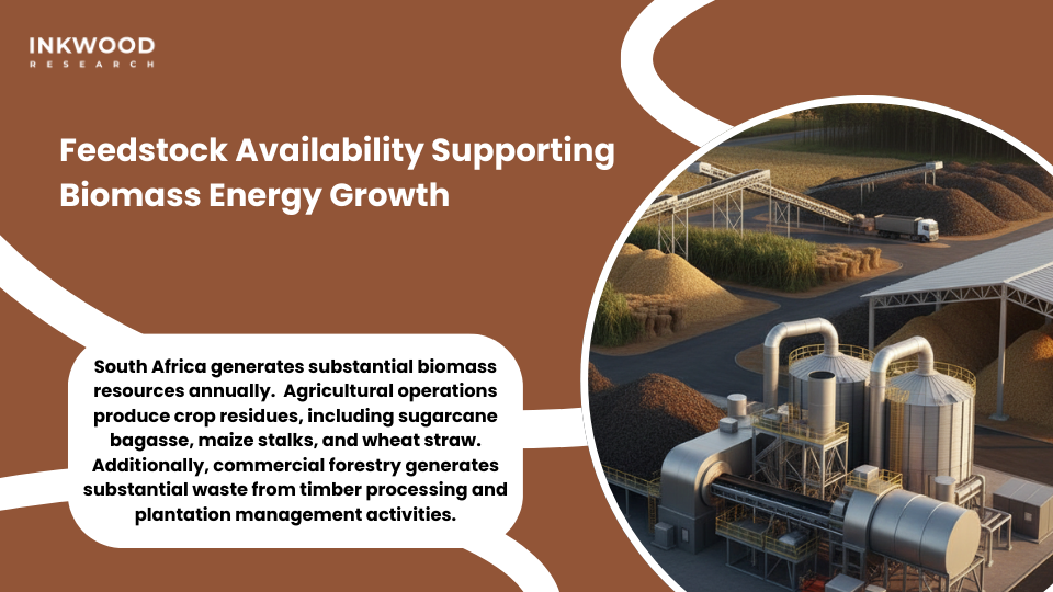 Biomass feedstock availability supporting South Africa's sustainable energy transition