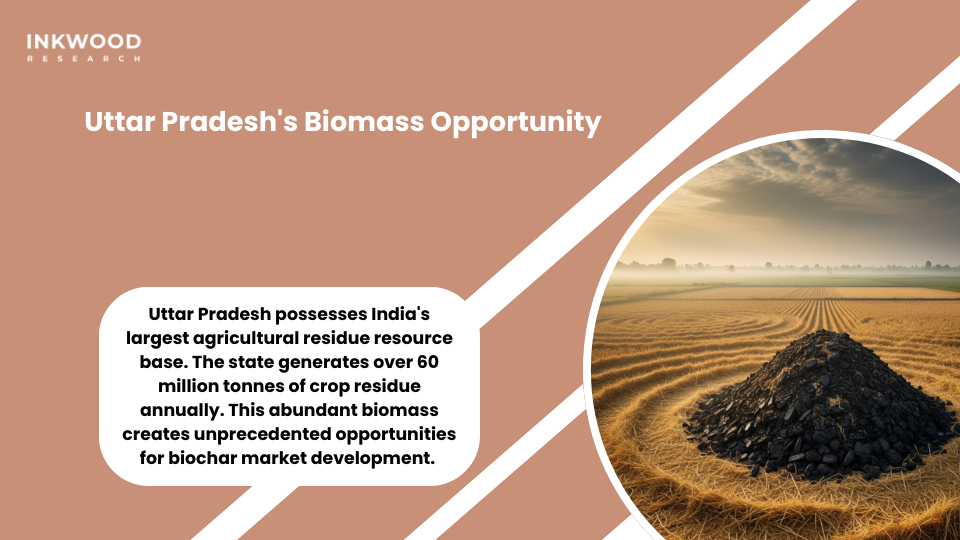 Uttar Pradesh biomass availability abundant agricultural residue for biochar production
