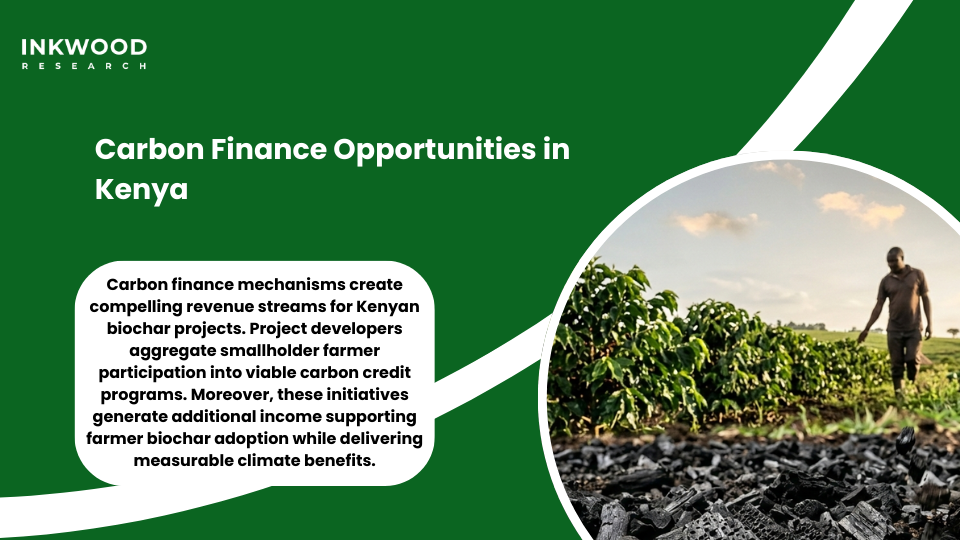 Carbon sequestration finance opportunities climate change mitigation biochar Kenya