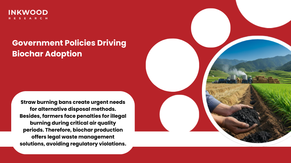 Government policies biochar adoption subsidies China agricultural transformation programs