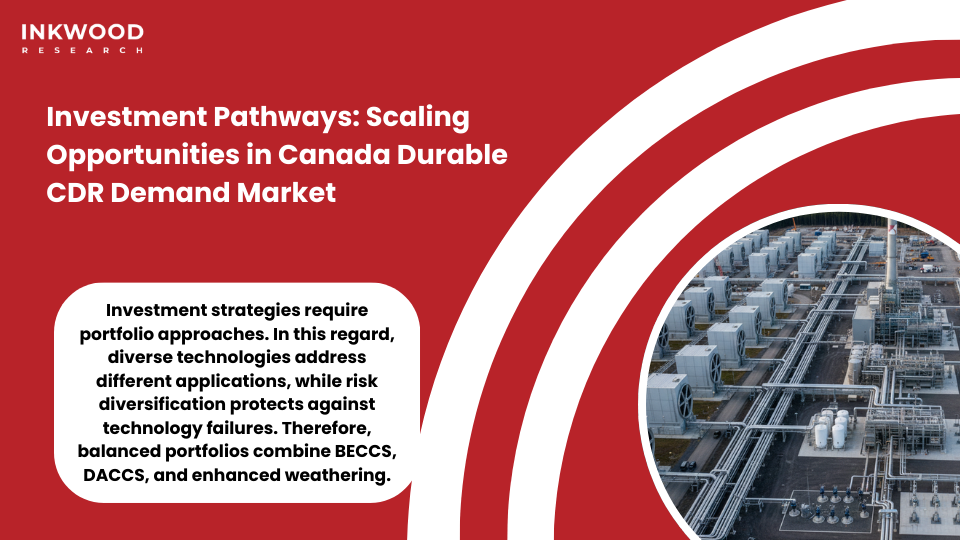 Investment pathway framework showing technology portfolio diversification risk mitigation strategies and scaling opportunities across durable CDR methods