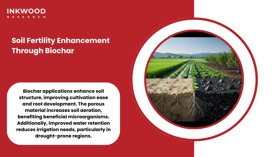 Soil fertility enhancement biochar applications enhance soil productivity China agriculture