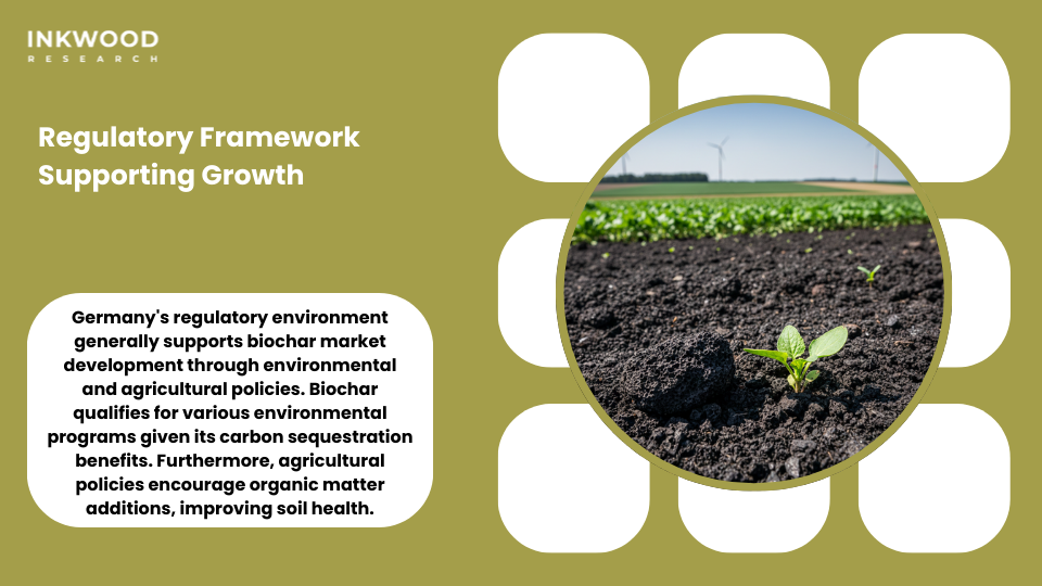 Regulatory framework Germany biochar market government support environmental policies