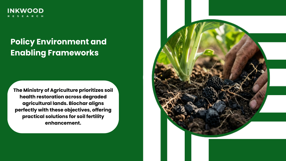 Kenya biochar policy environment enabling frameworks government support programs agriculture