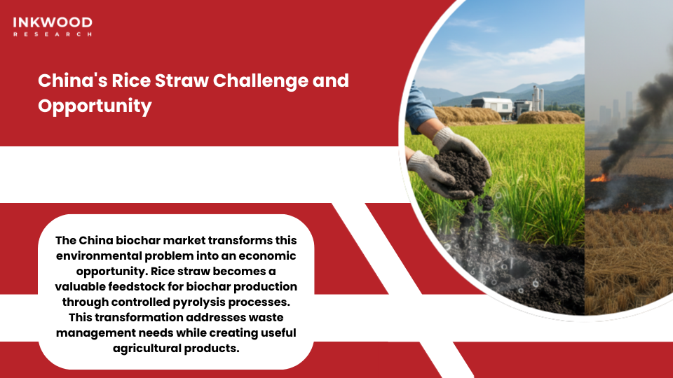 China biochar market rice straw transformation abundant biomass agricultural waste revolution