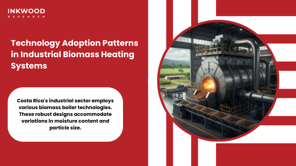 Biomass energy technology adoption patterns in Costa Rican industrial heating applications