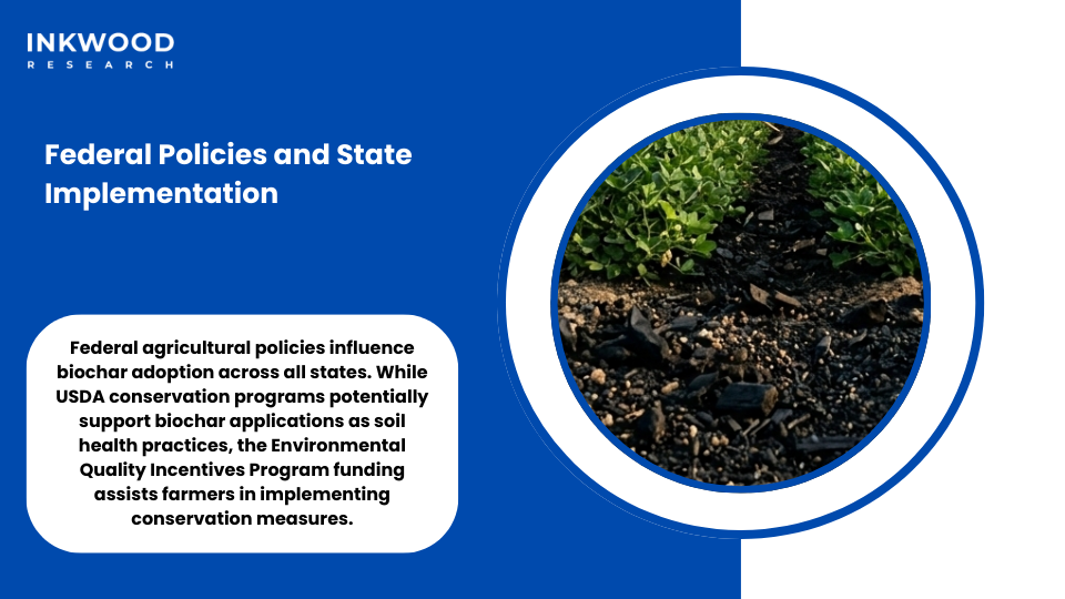 Federal policies United States biochar market USDA programs state implementation frameworks