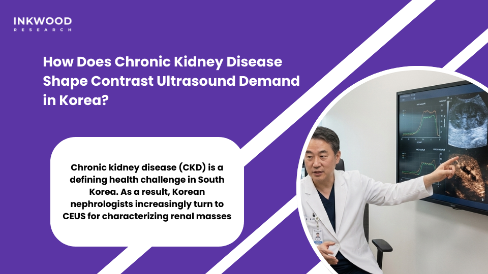 CEUS renal mass characterization in Korean nephrology practice using contrast enhanced ultrasound for kidney lesion assessment