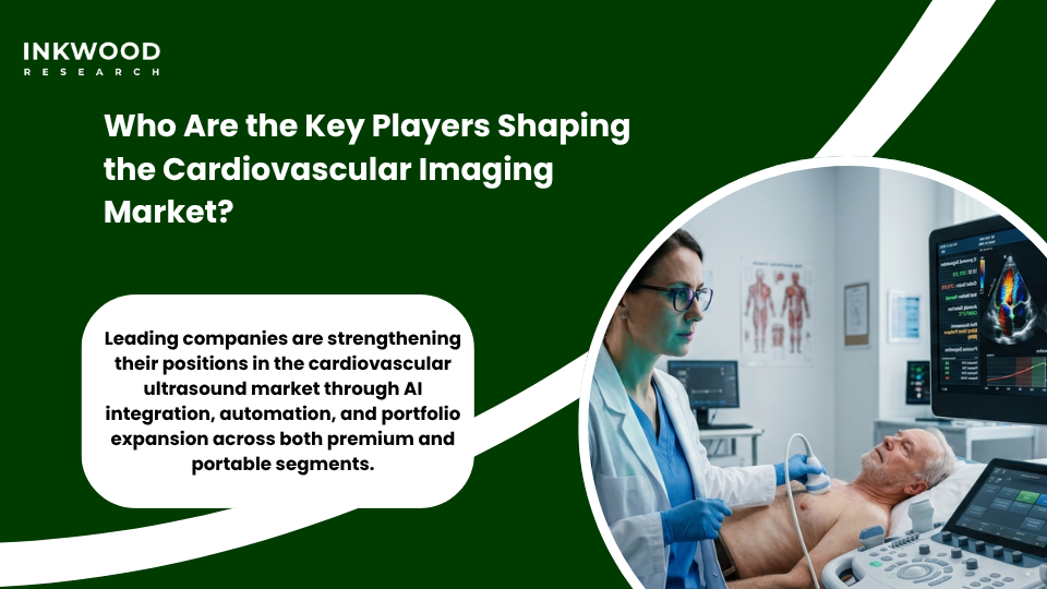 Key players in global cardiovascular ultrasound market including GE HealthCare Siemens Healthineers Philips Samsung Medison and Mindray cardiovascular imaging market