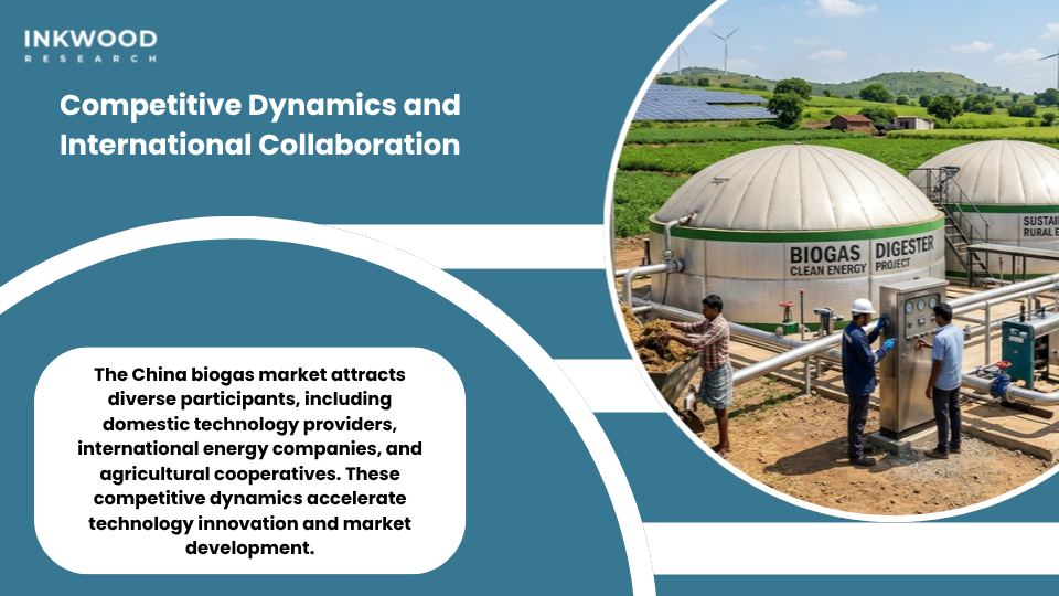 Rural renewable energy transformation in China biogas market supporting cooking gas fuel electricity heat applications nationwide