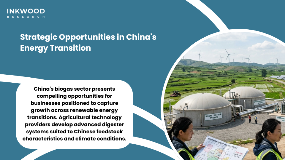 Infrastructure development connecting China biogas market to the hydrogen economy through upgraded biogas fuel electricity systems integration