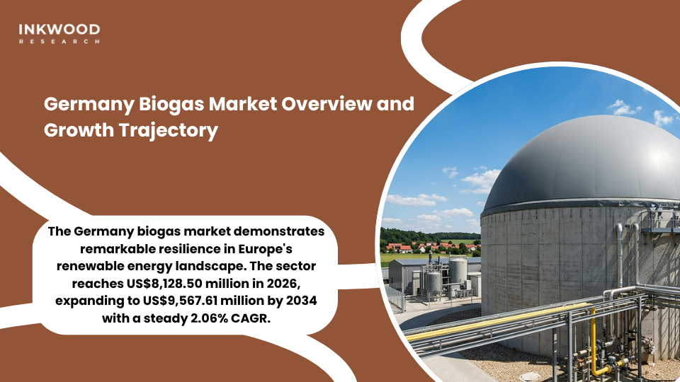 Germany biogas market policy framework showing renewable energy integration across cooking gas vehicle fuel electricity heat applications