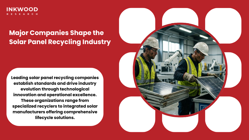 Global solar panel recycling industry leaders showing major companies and their strategic approaches to photovoltaic waste management