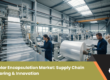 US solar encapsulation market driven by domestic manufacturing, polysilicon & thin-film solar technology, boosting supply chain independence.