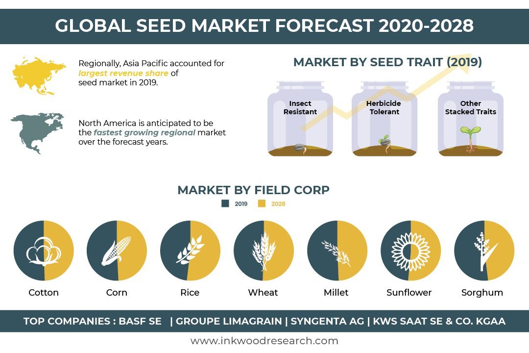 Global Seed Market Growth Opportunity Trends Analysis Size Share