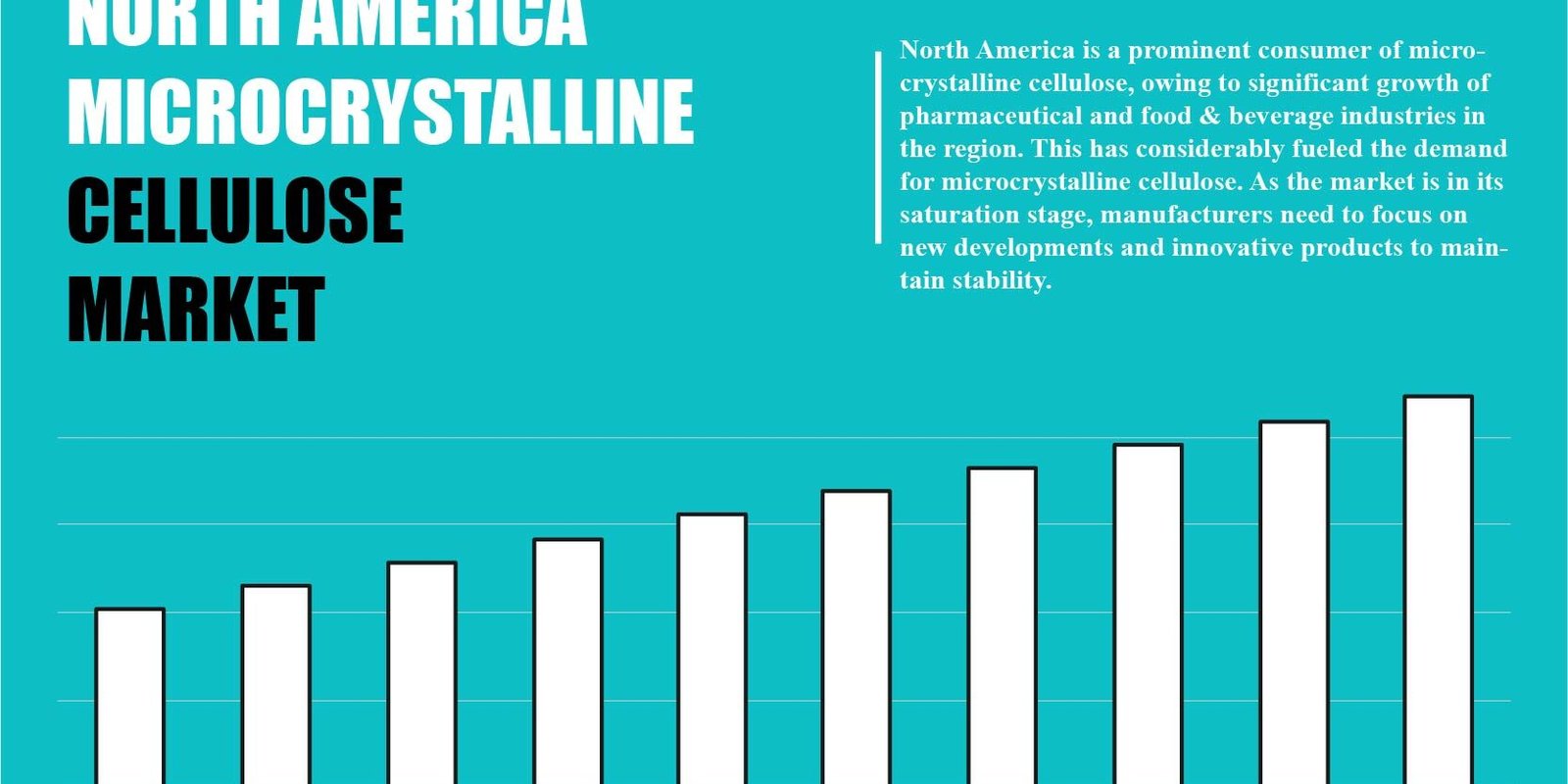 North America Microcrystalline Cellulose Market