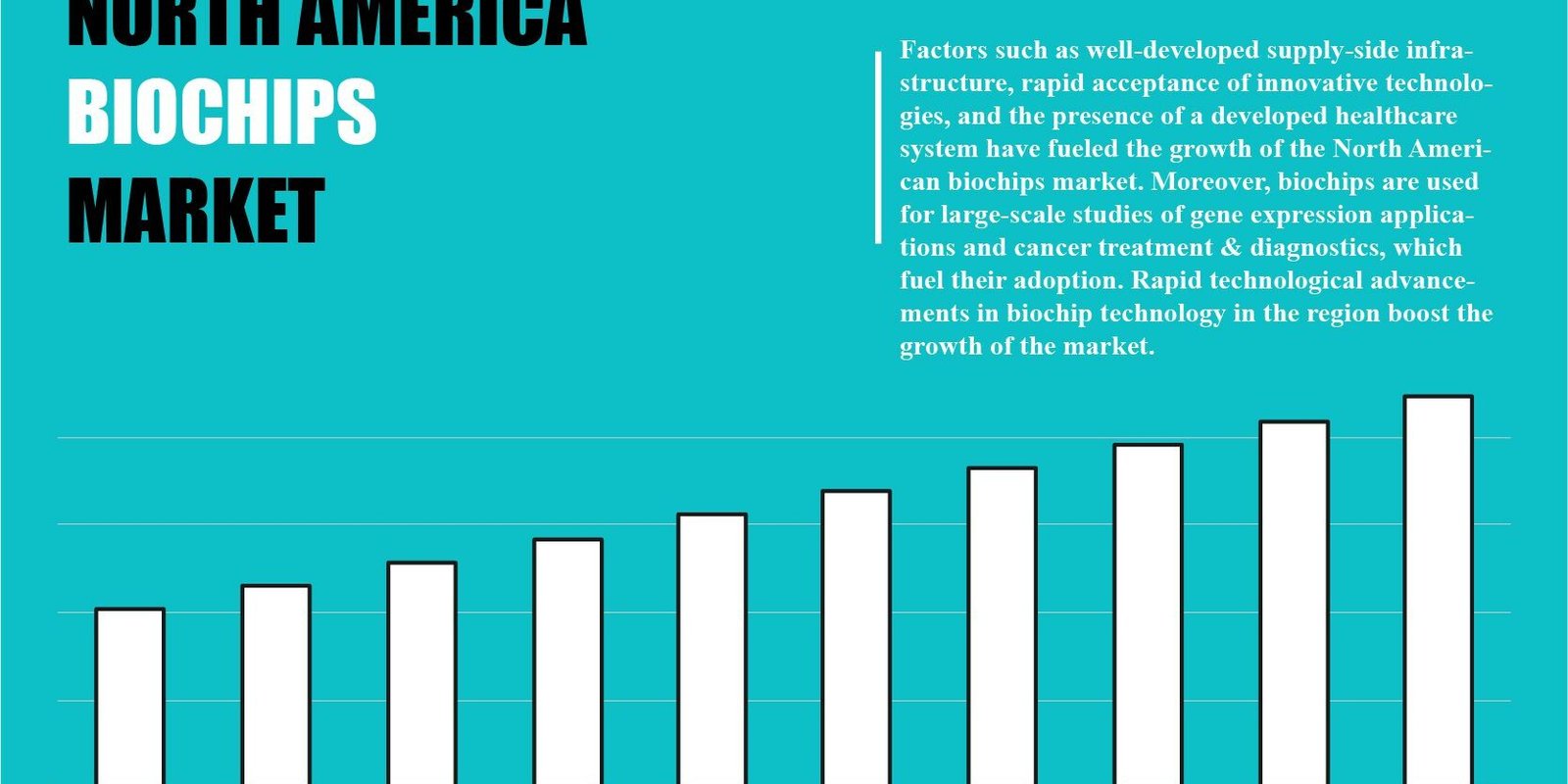 North America Biochips Market North America Biochips Market
