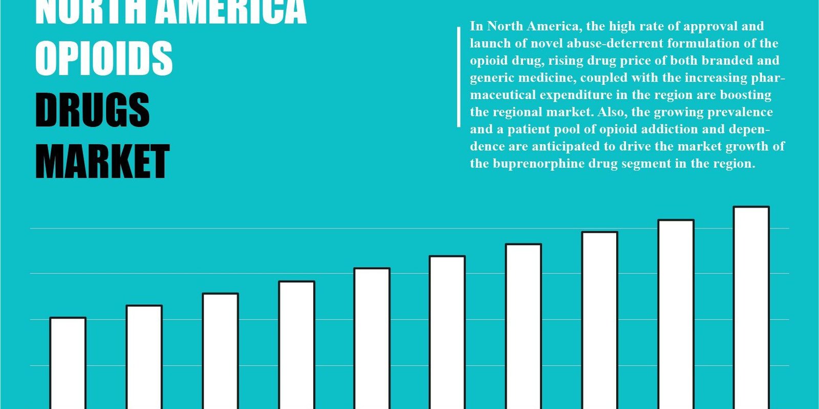 North America Opioids Drug Marke